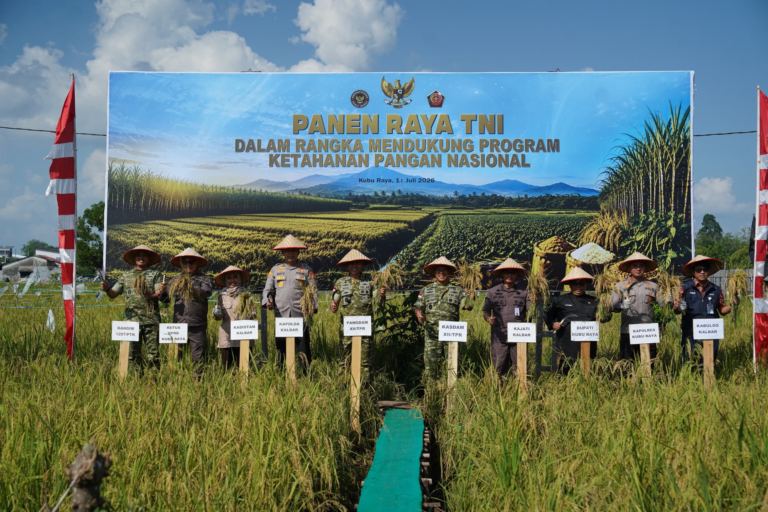 Sinergi TNI dan Petani: Pangdam XII/Tpr Laksanakan Panen Raya Padi Dukung Ketahanan Pangan Nasional