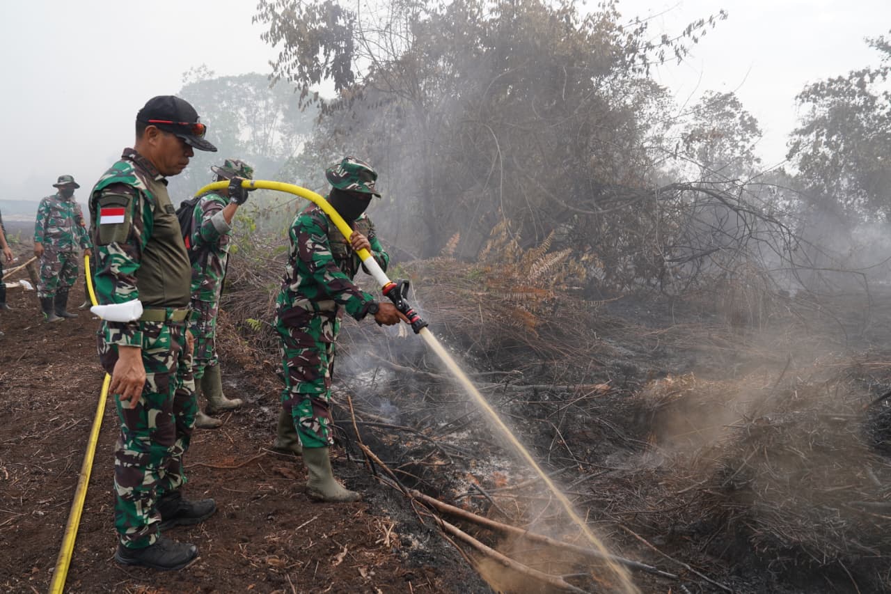 Tinjau Lokasi Karhutla, Pangdam XII/Tpr Instruksikan Jajaran Percepat Pemadaman dan Imbau Warga Tak Bakar Lahan